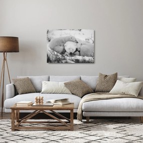 Sklenený obraz - Ľadové medvede (70x50 cm)