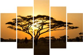 Obraz - Africká savana (150x105 cm)