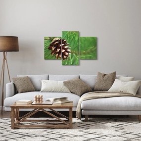Obraz šišky (90x60 cm)