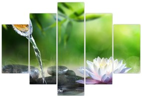 Obraz - Lotus (150x105 cm)