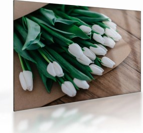 Sklenený obraz kytice bielych tulipánov (70x50 cm)