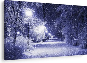 Obraz - Čarovná zimná noc (90x60 cm)
