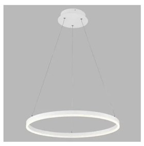 LED2 - LED Luster na lanku CIRCLE LED/42W/230V