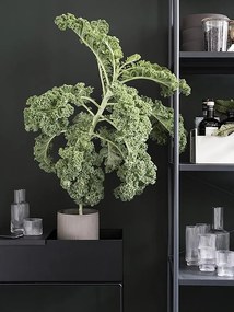 Ferm Living Stojan na kvety Plant Box Black