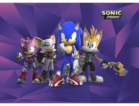 Detská fototapeta Sonic 254 x 182 cm, 4 diely