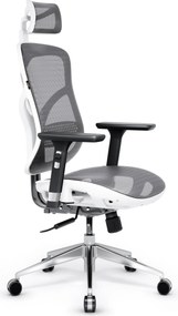 Ergonomická kancelárska stolička zo sieťoviny, biely-sivý: Diablo V-Basic