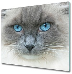 Sklenená doska na krájanie Mačka s modrými očami 60x52 cm