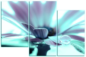 Obraz na plátne - Kvapka rosy na lúpeňoch kvetu 180FC (120x80 cm)