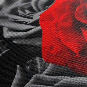 Obraz - Ruže (120x50 cm)