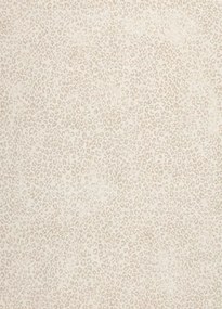 Koberce Breno Kusový koberec PIAZZO 12268/100, béžová, viacfarebná,120 x 170 cm
