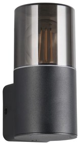 Vonkajšie svietidlo (výška 17,5 cm) Hoosic – Trio