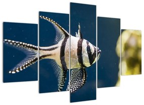 Ryba - obraz