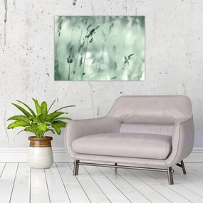 Sklenený obraz - Zelená lúka (70x50 cm)