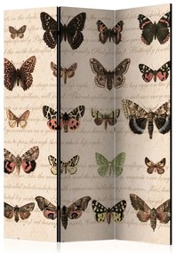 Artgeist Paraván - Retro Style: Butterflies [Room Dividers]