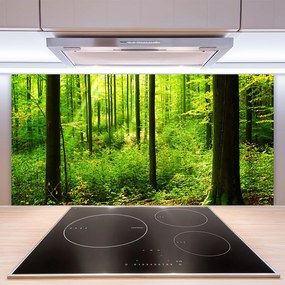 Sklenený obklad Do kuchyne Les zeleň stromy príroda 140x70 cm