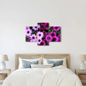 Obraz - Kvety (90x60 cm)