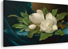Obraz - Martin Johnson Heade, Giant Magnolias on a Blue Velvet Cloth, reprodukcia (90x60 cm)