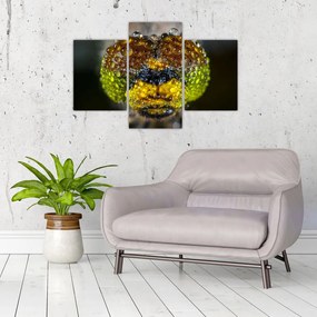 Detailný obraz očí hmyzu (90x60 cm)