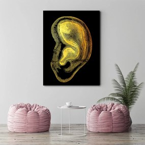 Gario Obraz na plátne Zlatá anatómia, ucho - Gab Fernando Rozmery: 40 x 60 cm