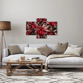 Obraz červených okvetných lístkov (90x60 cm)