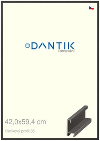 DANTIK rám na obraz 42x59,4 | ALU Dýha černá (Plexi Čiré)