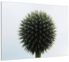 Sklenený obraz kvetinové gule (70x50 cm)