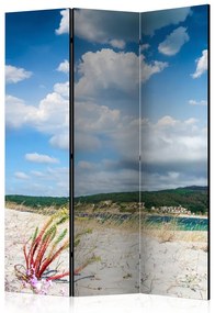 Artgeist Paraván - Beach on the Costa da Morte [Room Dividers]