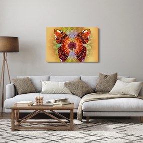 Obraz - Etno motýľ (90x60 cm)