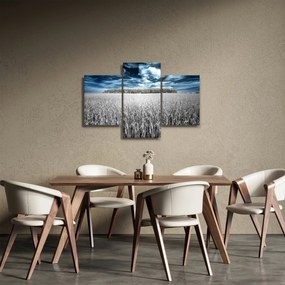 Obraz pole (90x60 cm)