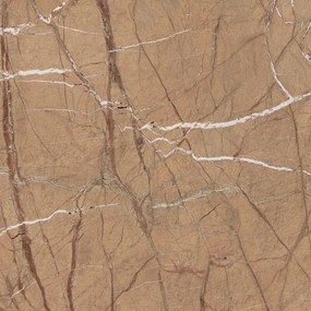 Dlažba The Rock FOGOLD6 120 RM 120x120