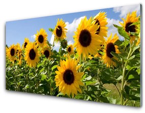 Skleneny obraz Slnečnica kvet rastlina 140x70 cm