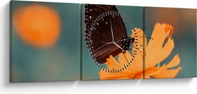 Obraz - motýľ na oranžovom kvete (s hodinami) (90x30 cm)