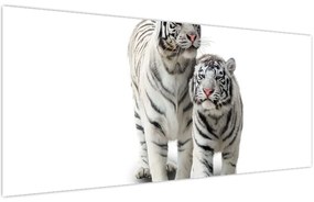 Obraz - Biely tiger (120x50 cm)