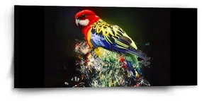 Sablio Obraz Farebný papagáj - 110x50 cm