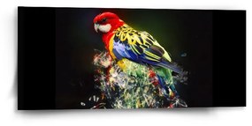 Sablio Obraz Farebný papagáj - 110x50 cm