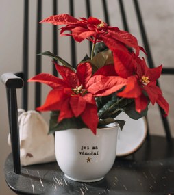 Bella Rose Porcelánový obal na kvetináč Jsi má vánoční hvězda 13 cm – CZ