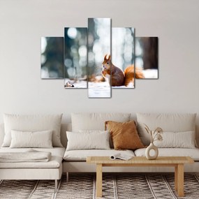 Obraz - Veverička (150x105 cm)