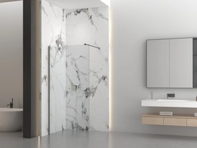 Erga Paris, sprchová zástena Walk-In 80x200 cm, 8mm číre sklo, grafitový profil, ERG-V02-PARIS-080x200-CL-GG