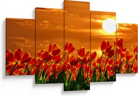 Obraz rozkvitnutého lánu s tulipánmi (150x105 cm)