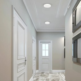 Stropné LED svietidlo Vera, 1x LED 12w, 4000k, w