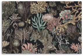 Gario Obraz na plátne Nádherné morské koraly Rozmery: 60 x 40 cm