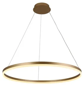 Brilagi - LED Stmievateľný luster na lanku CIRCLE LED/55W/230V 3000-6500K zlatá+DO BG1411