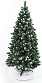 Limpol Vianočný stromček Borovica Verona Výška stromčeka: 180 cm