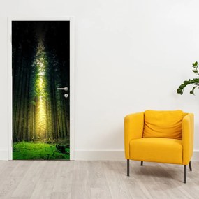 Fototapeta na dvere - Temný les (95x205cm)