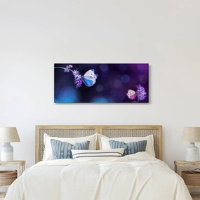 Obraz - Motýle na levanduli (120x50 cm)