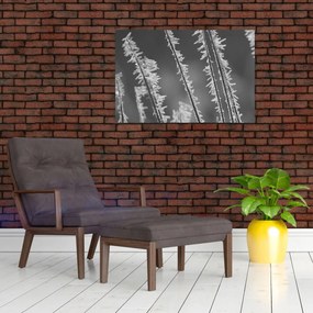 Obraz - Mrazivá zima (90x60 cm)