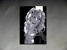 Ručne maľovaný POP Christina Aguilera | rôzne rozmery