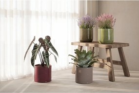Keramický ručne vyrobený obal na kvetináč ø 25 cm Fortuna – Artevasi