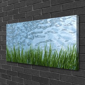 Obraz Canvas Tráva voda príroda 125x50 cm