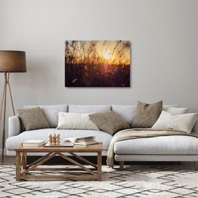 Sklenený obraz poľa pri západe slnka (70x50 cm)